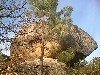 Barbad�s