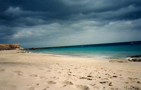 playa de Fuerteventura
