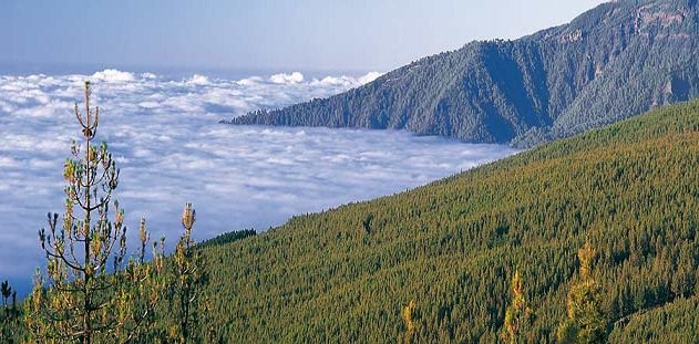 temperatura hoy en La Orotava, prevision tiempo en La Orotava, temperatura en La Orotava, pronostico dtemperatura hoy en La Orotava, temperatura hoy en La Orotava hoy, temperaturas en La Orotava, prevision clima La Orotava, pronostico en La Orotava, pronostico tiempo en La Orotava, tiempo meteorologico en La Orotava, clima en La Orotava, prevision tiempo La Orotava