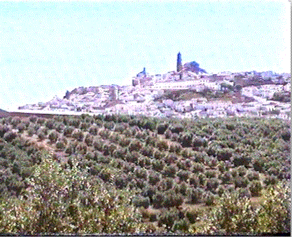 temperatura hoy en Baena, prevision tiempo en Baena, temperatura en Baena, pronostico dtemperatura hoy en Baena, temperatura hoy en Baena hoy, temperaturas en Baena, prevision clima Baena, pronostico en Baena, pronostico tiempo en Baena, tiempo meteorologico en Baena, clima en Baena, prevision tiempo Baena