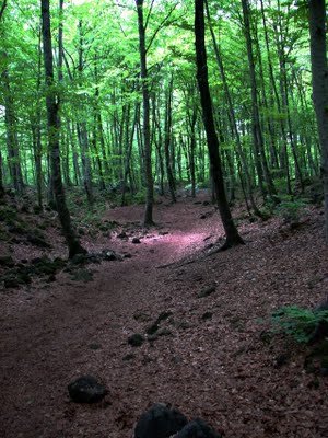 RESERVA NATURAL DE LA FAGEDA D’EN JORDÁ