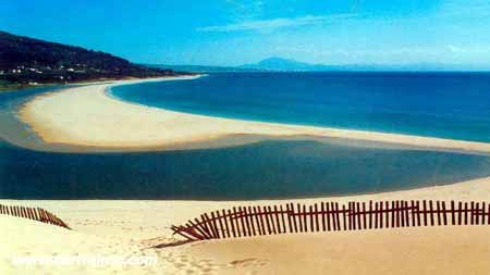 Tarifa