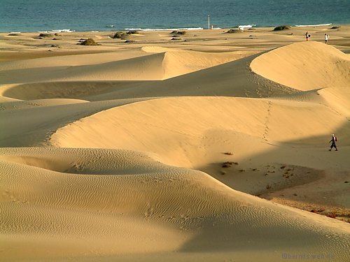 gran canarie spagna, vacanze gran canarie, viaggi gran canarie, maspalomas viaggi, maspalomas hoteli, voli gran canarie, offerte gran canarie, voli low cost per canarie, voli low cost canarie, voli diretti canarie, voli economici canarie, crociera canarie, offerta canarie, italia canarie, offerte viaggi canarie, volo canarie