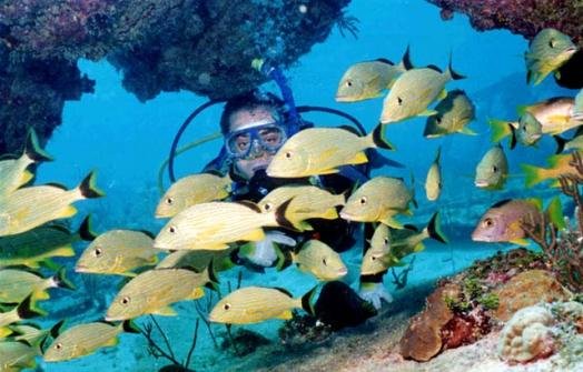 Buceo